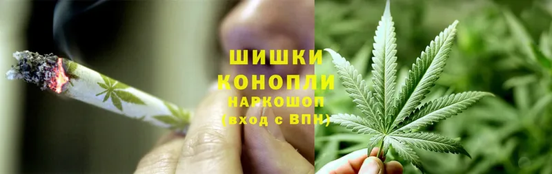 KRAKEN маркетплейс  Пошехонье  Шишки марихуана конопля  где продают  